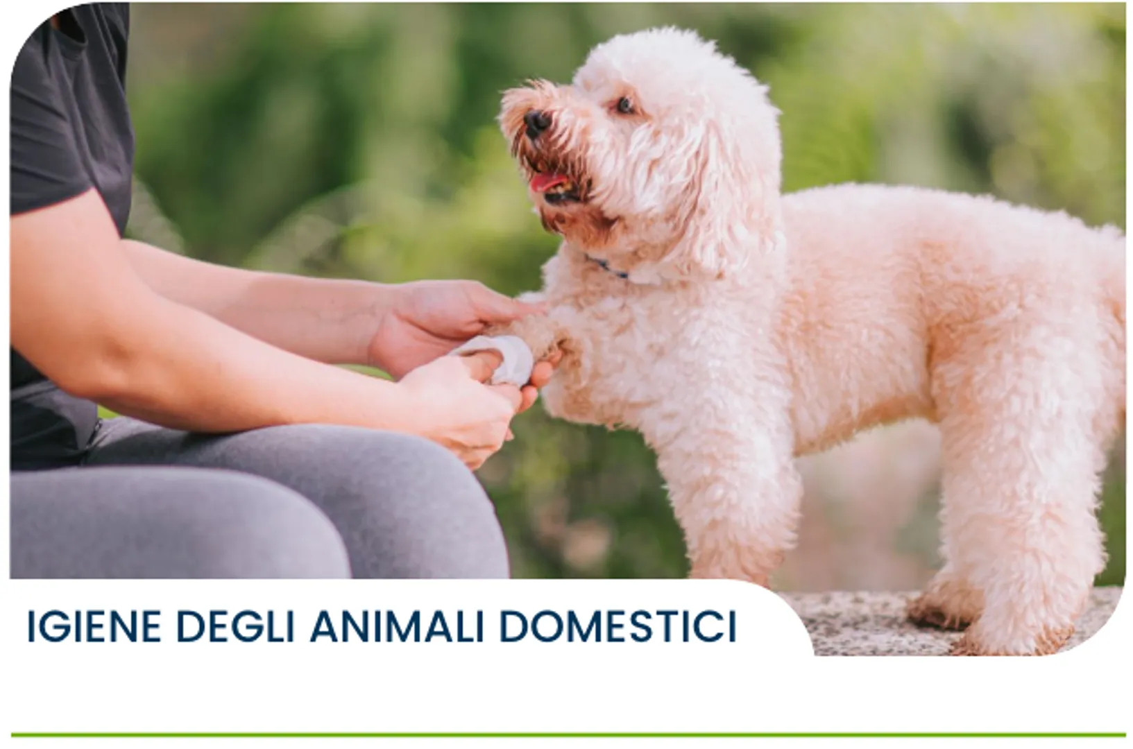 IGIENE DEGLI ANIMALI DOMESTICI